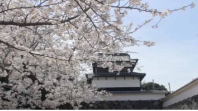 舞鶴公園お花見2026場所取りの時間は？予約・屋台(出店)・駐車場も