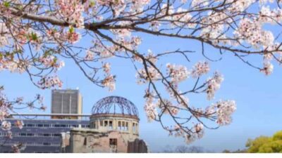 平和公園お花見2026場所取りの時間は？屋台や飲食(バーベキュー)情報も