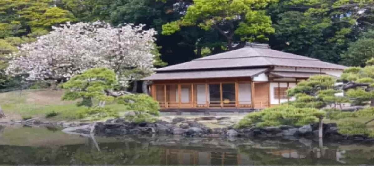 浜離宮恩賜庭園お花見2026に予約は必要？入場料・アクセス・ライトアップも