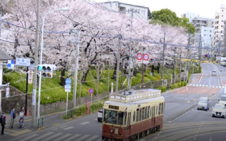 飛鳥山公園お花見2026の場所取りルールは？屋台と宴会や混雑情報も