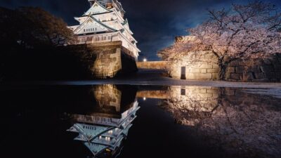 大阪城公園の花見の場所取りの時間は？バーベキュー予約とルールを紹介