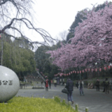 上野公園