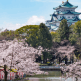 名城公園花見