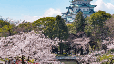 名城公園お花見2026の場所取りルールは？駐車場・屋台・宴会禁止事項も