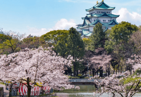 名城公園お花見2026の場所取りルールは？駐車場・屋台・宴会禁止事項も