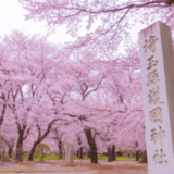 大宮公園の花見