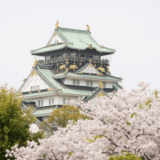 大阪城公園花見