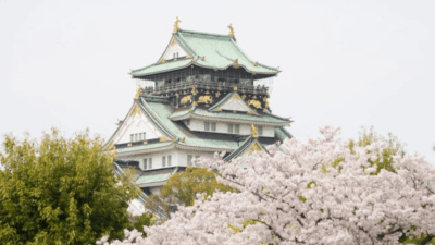 大阪城公園の花見の場所取りの時間は？バーベキュー予約とルールを紹介