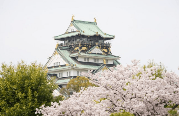 大阪城公園の花見の場所取りの時間は？バーベキュー予約とルールを紹介