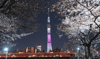 隅田公園花見2026の場所取りの時間は？レジャーシート・飲酒禁止事項も！