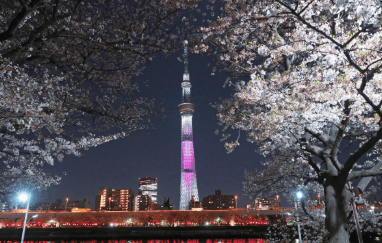 隅田公園花見2026の場所取りの時間は？レジャーシート・飲酒禁止事項も！