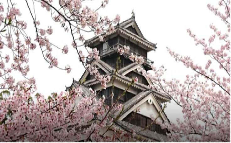 熊本城お花見2026場所取りの時間は？駐車場・ライトアップ・宴会ルールも