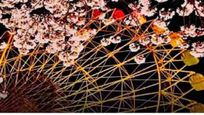 華蔵寺公園お花見2026場所取りの時間は？屋台・駐車場・ライトアップも