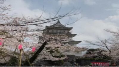 亥鼻公園お花見2026の夜桜ライトアップ時間は？場所取りと屋台や駐車場も