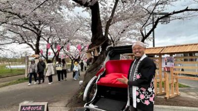 北上展勝地桜まつり2026の駐車場と屋台は？ライトアップとシャトルバス情報も