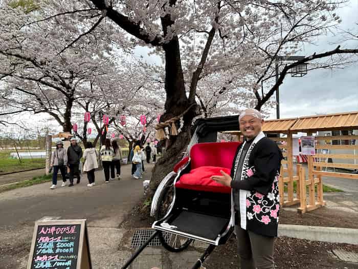 北上展勝地桜まつり2026の駐車場と屋台は？ライトアップとシャトルバス情報も
