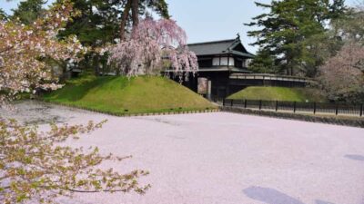 弘前公園桜祭り2026の屋台の出店は？ライトアップ時間や駐車場情報も