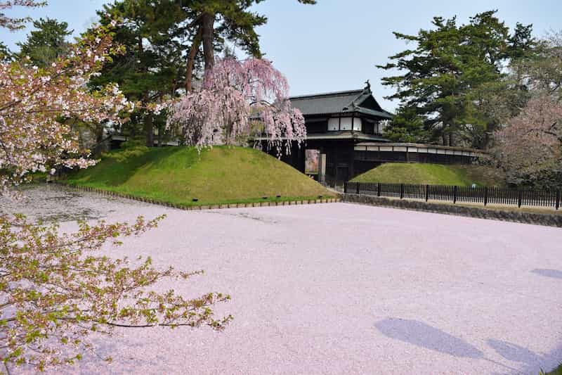 弘前公園桜祭り2026の屋台の出店は？ライトアップ時間や駐車場情報も